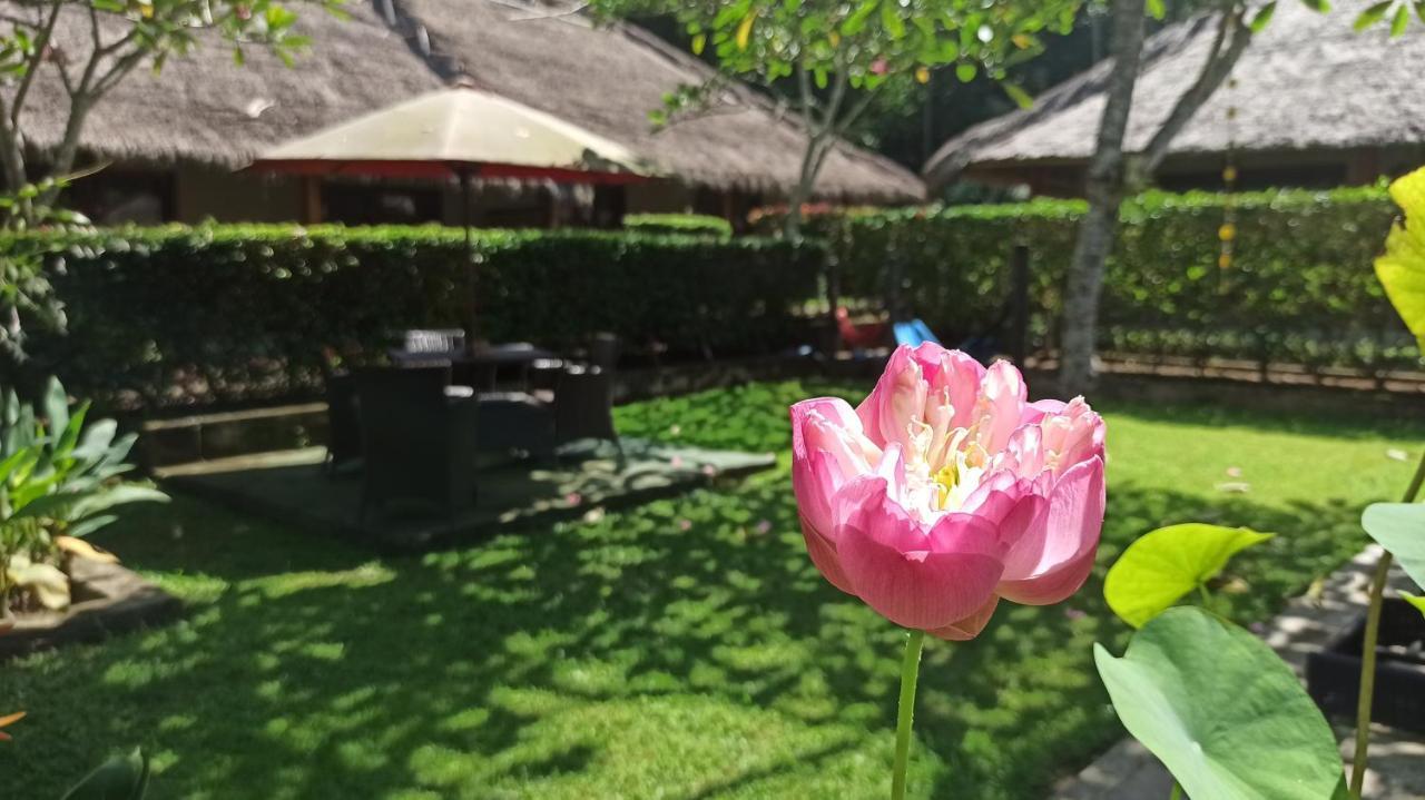 Mama Bella'S Retreat Bed & Breakfast Senggigi Exterior foto